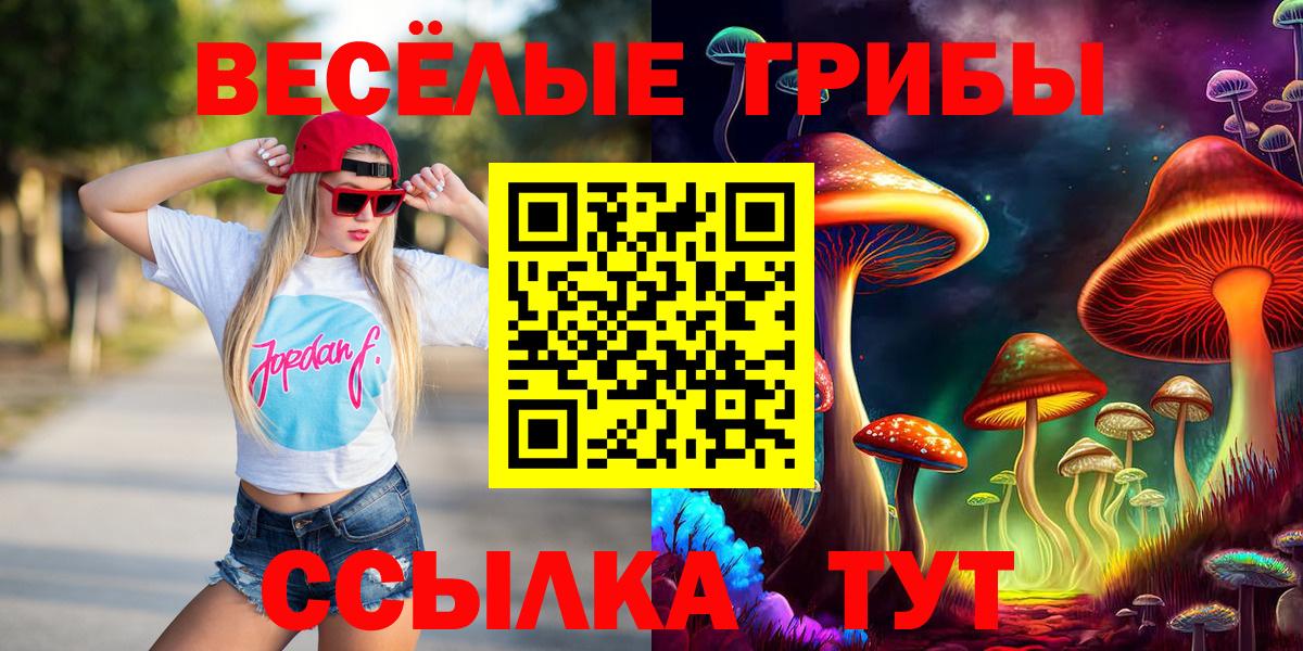 Галлюциногенные грибы мицелий Чайковский