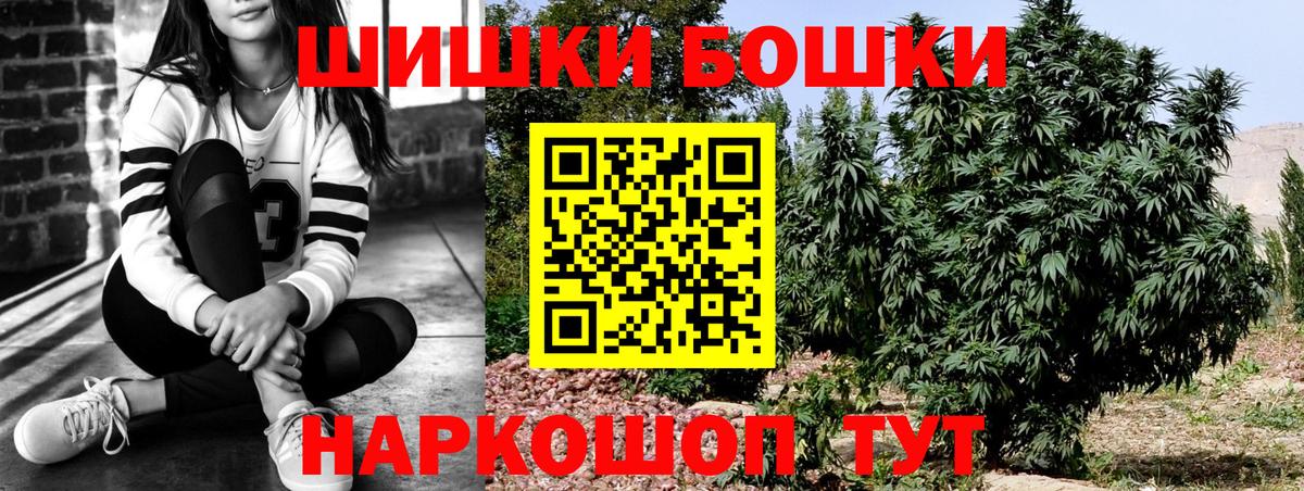 Каннабис сатива  Бошки марихуана VHQ  Чайковский  Вход с VPN  Каннабис сатива  Бошки марихуана OG Kush 